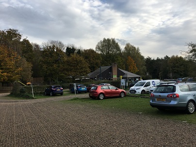 81