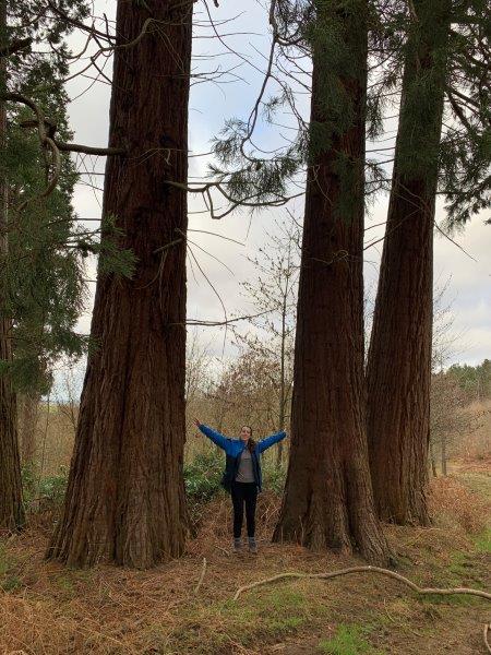 01310537d6e65e9755d943b6a8ef0e2d12dcedfb25