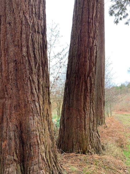 01a32e9e6fb46a5f18bcdaa76db0b2319bfe35d1d1