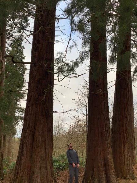 01e1f2a3dba28f8d9019f2e2482cc7308a514accce